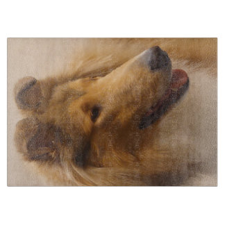 Portrait of a Rough Sable Collie Cutting Board