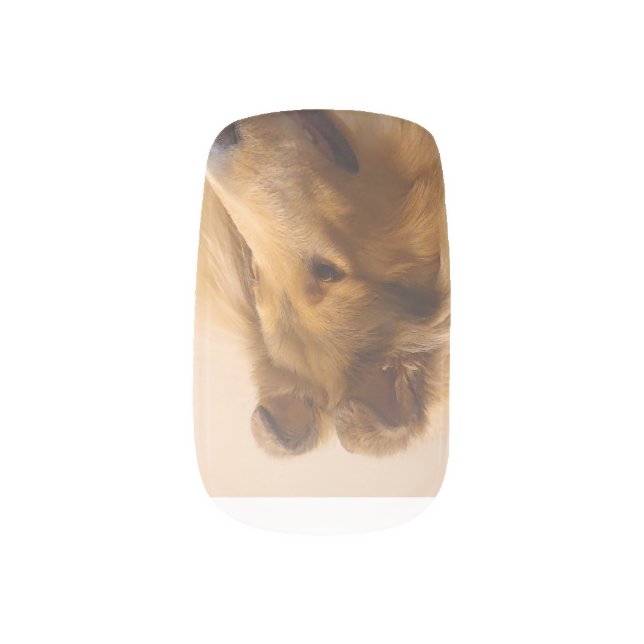 Portrait of a Rough Sable Collie Minx Nail Art (Left Thumb)