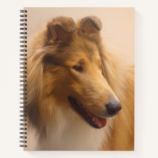 Portrait of a Rough Sable Collie Notebook