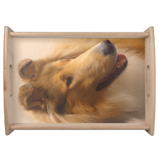 Portrait of a Rough Sable Collie Serving Tray