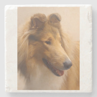 Portrait of a Rough Sable Collie Stone Coaster