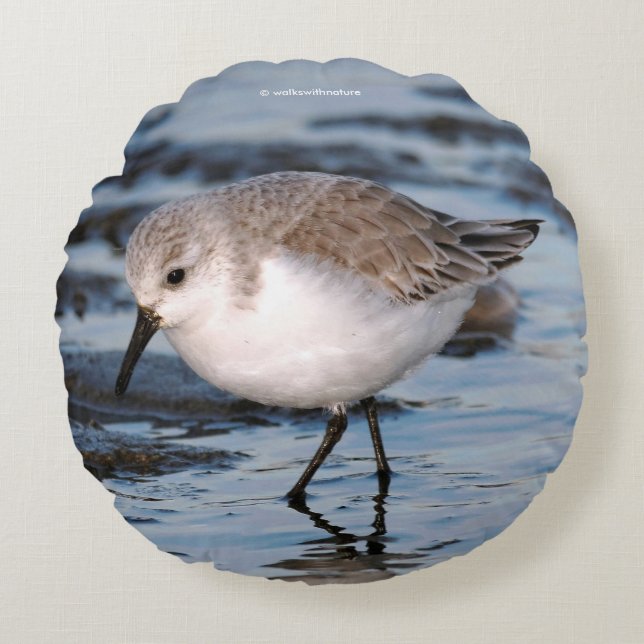 Portrait of a Sanderling Round Pillow (Front)