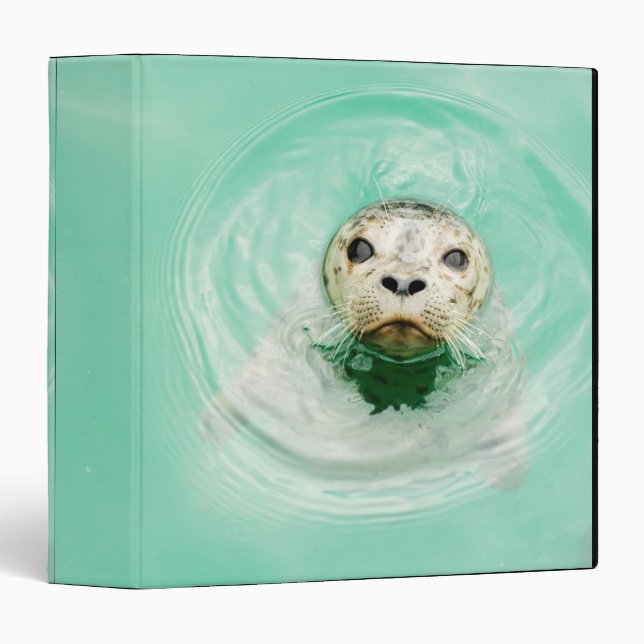 Portrait of a seal in water 3 ring binder (Front/Spine)