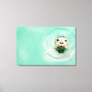 Portrait of a seal in water canvas print
