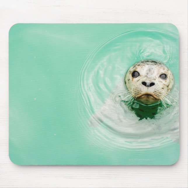 Portrait of a seal in water mouse pad (Front)