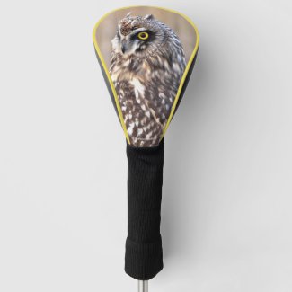 Portrait of a Short-Eared Owl Golf Head Cover