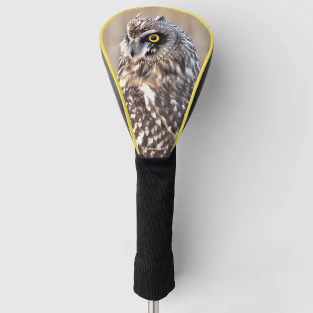 Portrait of a ShortEared Owl Golf Head Cover Zazzle