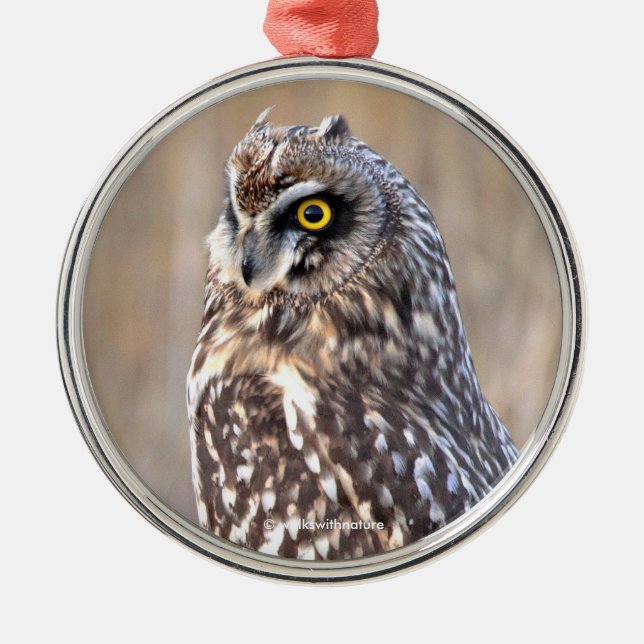 Portrait of a Short-Eared Owl in the Marshes Metal Ornament (Front)