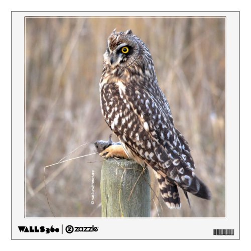 Portrait of a Short_Eared Owl in the Woods Wall Sticker