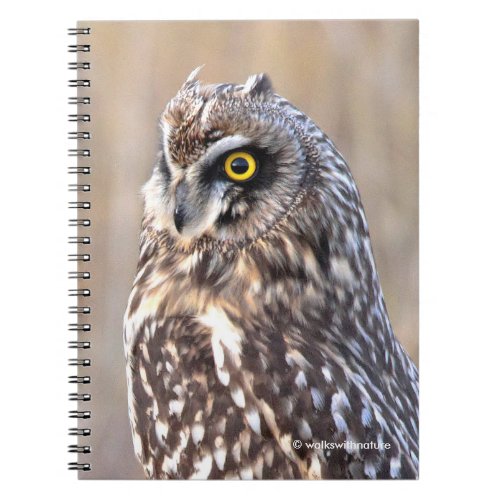 Portrait of a Short_Eared Owl Notebook