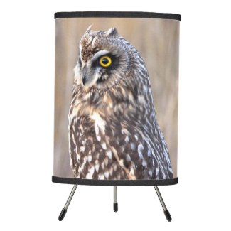 Portrait of a Short-Eared Owl