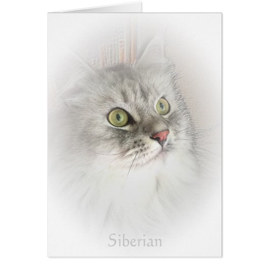 Portrait of a Siberian Card (Front)