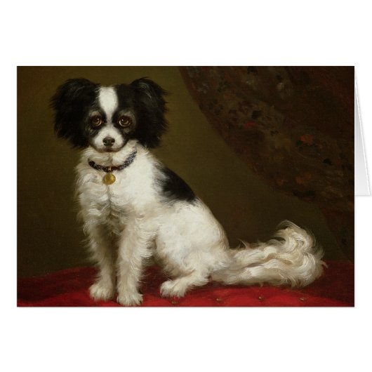 Portrait of a Spaniel Cards (Front Horizontal)