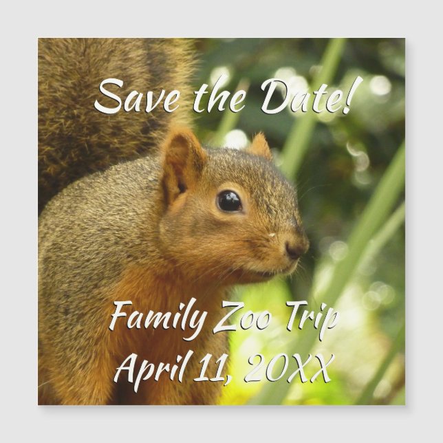 Portrait of a Squirrel Nature Animal Photography (Front)