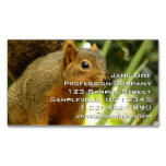 Portrait of a Squirrel Nature Animal Photography Business Card Magnet