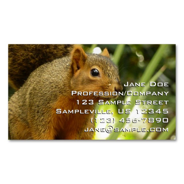 Portrait of a Squirrel Nature Animal Photography Business Card Magnet (Front)