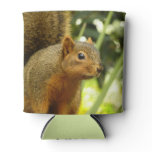 Portrait of a Squirrel Nature Animal Photography Can Cooler