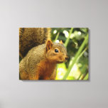 Portrait of a Squirrel Nature Animal Photography Canvas Print