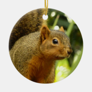 Portrait of a Squirrel Nature Animal Photography Ceramic Ornament