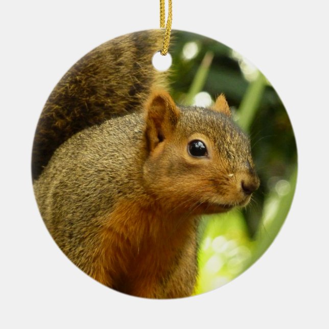 Portrait of a Squirrel Nature Animal Photography Ceramic Ornament (Front)