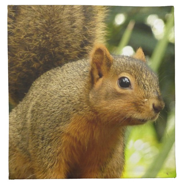 Portrait of a Squirrel Nature Animal Photography Cloth Napkin (Front)