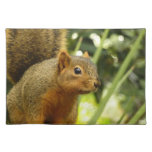 Portrait of a Squirrel Nature Animal Photography Cloth Placemat