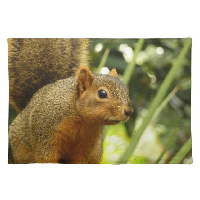 Portrait of a Squirrel Nature Animal Photography Cloth Placemat (Front)