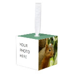 Portrait of a Squirrel Nature Animal Photography Cube Ornament