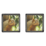 Portrait of a Squirrel Nature Animal Photography Cufflinks