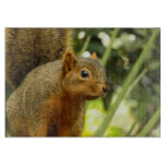 Portrait of a Squirrel Nature Animal Photography Cutting Board