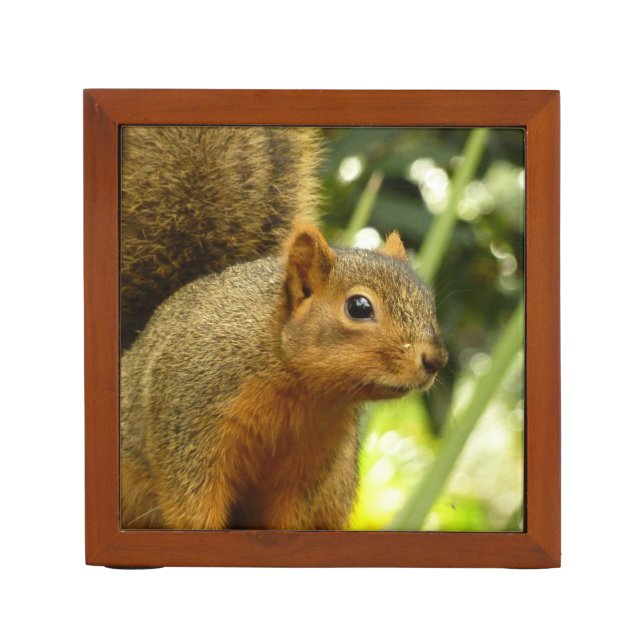 Portrait of a Squirrel Nature Animal Photography Desk Organizer (Front)