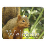 Portrait of a Squirrel Nature Animal Photography Door Sign