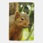Portrait Of A Squirrel Nature Animal Photography Garden Flag at Zazzle