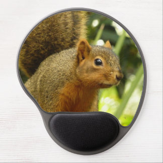 Portrait of a Squirrel Nature Animal Photography Gel Mouse Pad