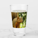 Portrait of a Squirrel Nature Animal Photography Glass