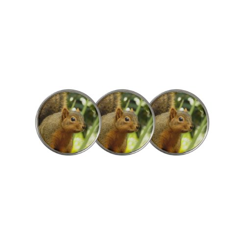 Portrait of a Squirrel Nature Animal Photography Golf Ball Marker