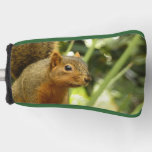 Portrait of a Squirrel Nature Animal Photography Golf Head Cover