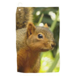 Portrait of a Squirrel Nature Animal Photography Golf Towel