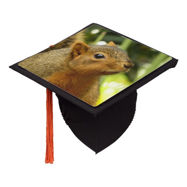 Portrait of a Squirrel Nature Animal Photography Graduation Cap Topper (Angled)
