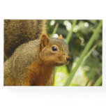 Portrait of a Squirrel Nature Animal Photography Guest Book