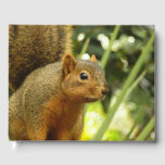 Portrait of a Squirrel Nature Animal Photography Guest Book