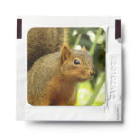 Portrait of a Squirrel Nature Animal Photography Hand Sanitizer Packet