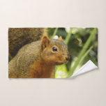 Portrait of a Squirrel Nature Animal Photography Hand Towel