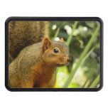 Portrait of a Squirrel Nature Animal Photography Hitch Cover