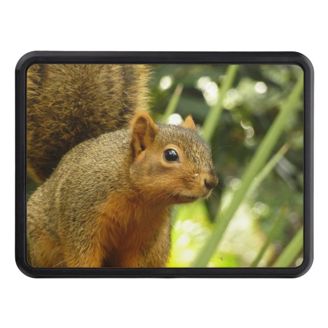Portrait of a Squirrel Nature Animal Photography Hitch Cover (Front)