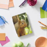 Portrait of a Squirrel Nature Animal Photography iPad Mini Cover