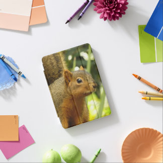 Portrait of a Squirrel Nature Animal Photography iPad Mini Cover