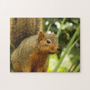 Portrait of a Squirrel Nature Animal Photography Jigsaw Puzzle