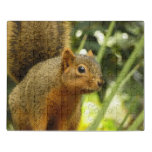 Portrait of a Squirrel Nature Animal Photography Jigsaw Puzzle