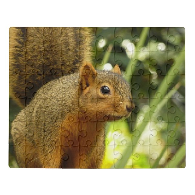 Portrait of a Squirrel Nature Animal Photography Jigsaw Puzzle (Puzzle Horizontal)